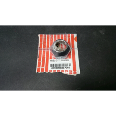 KUĞU EVİYE REKORU                                  